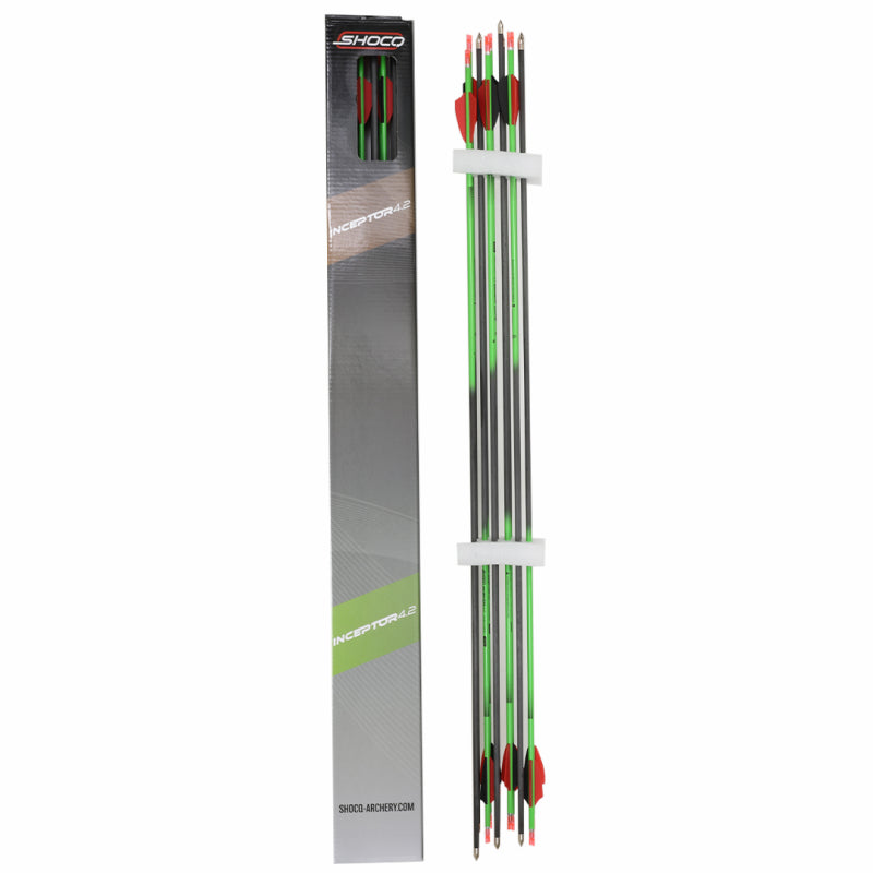 Shocq Inceptor Carbon Target / 3D Arrows x 12 Pkt