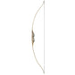 White Feather 54" Longbow Petrel Clear