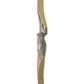 White Feather 54" Longbow Petrel Clear