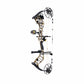 Bear Legend 30 Compound Bow Package ( Stone ) RH