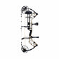 Bear Legend 30 Compound Bow Package ( Stone ) RH