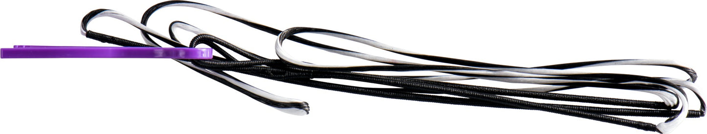 Reign Platinum BCY 625 Spectra Recurve Sting Dual Color